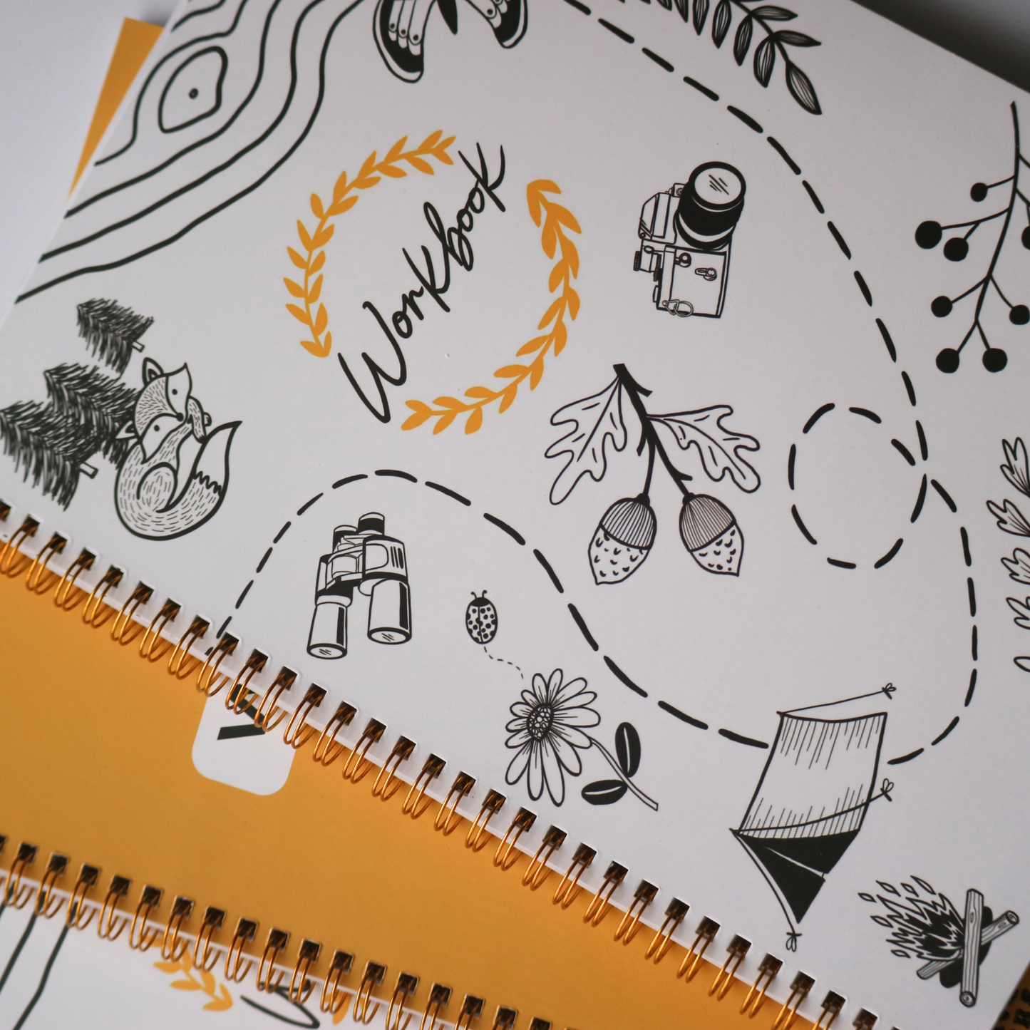 Raised Line Handwriting Workbooks