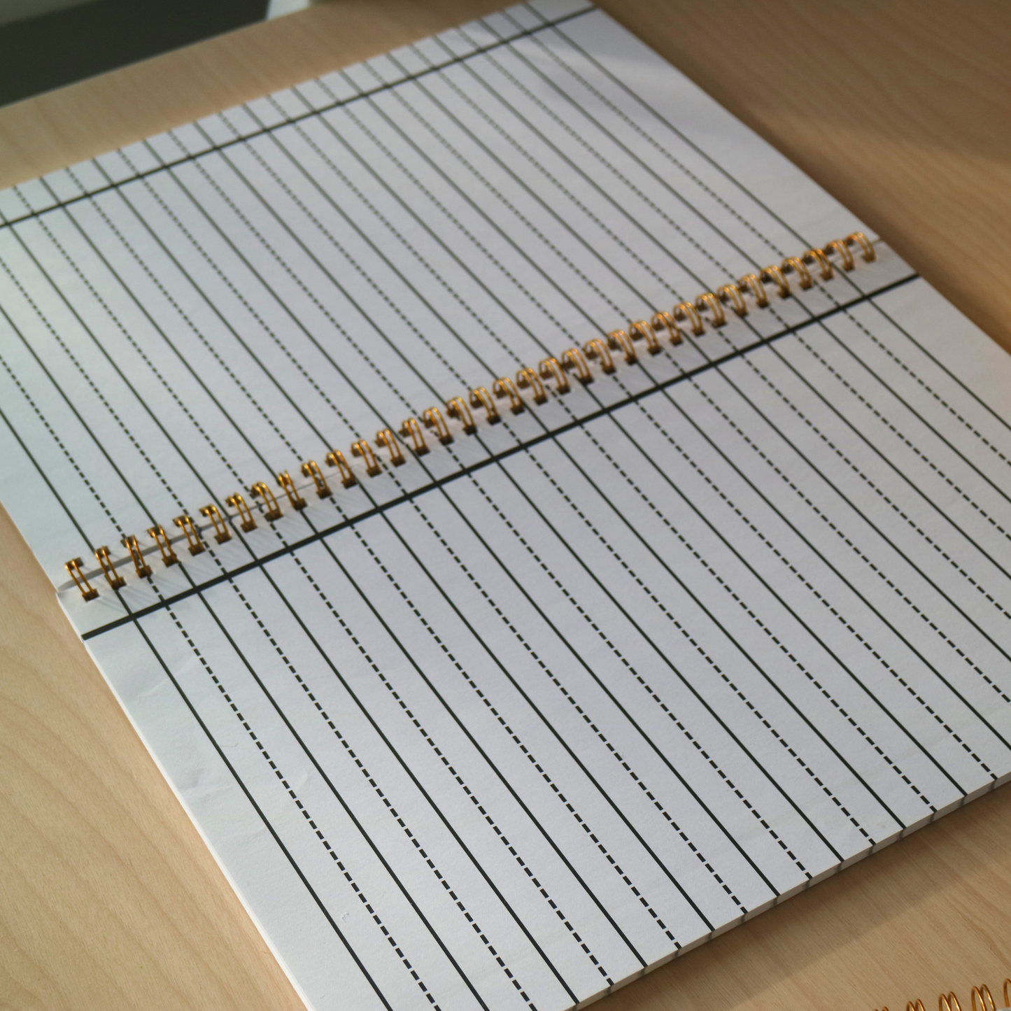 Raised Line Handwriting Workbooks